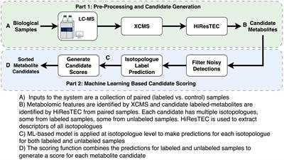 Identification of biological signatures of cruciferous vegetable consumption utilizing machine learning-based global untargeted stable isotope traced metabolomics
